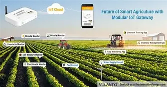 IoT-Driven Solutions