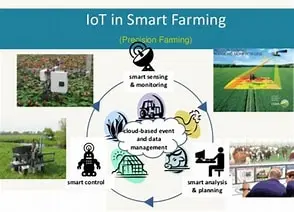 IoT-Driven Solutions