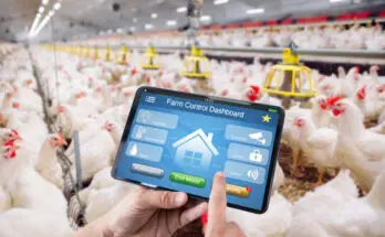 Smart Poultry Farming: Monitoring Environmental Conditions with IoT