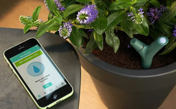 Smart Plant Monitor: Nurture Your Green Thumb with Tech