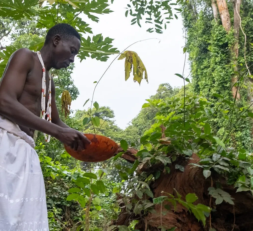 Eco‑Festivals and Ceremonies