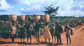 Echoes of Empires: Uncovering Pre-Colonial Nigeria and its Rich Past