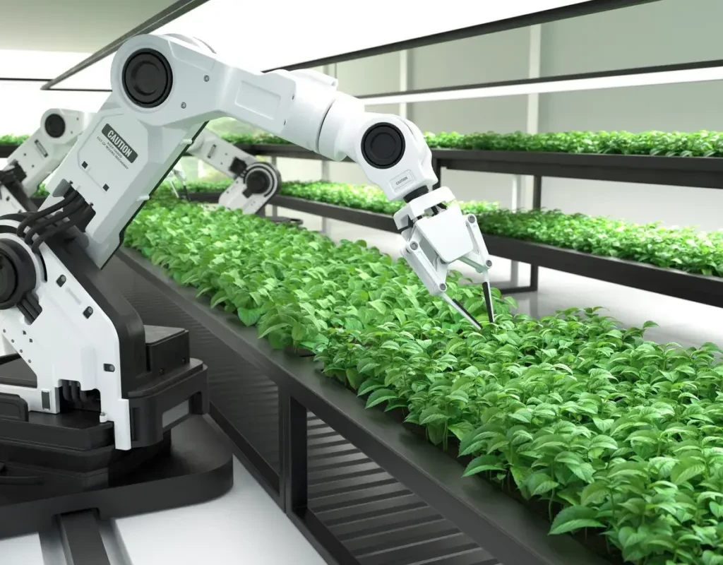 AI-Powered Crop Harvesting; a robot gardening