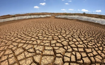 drought affect the ground_and this is how AI can help