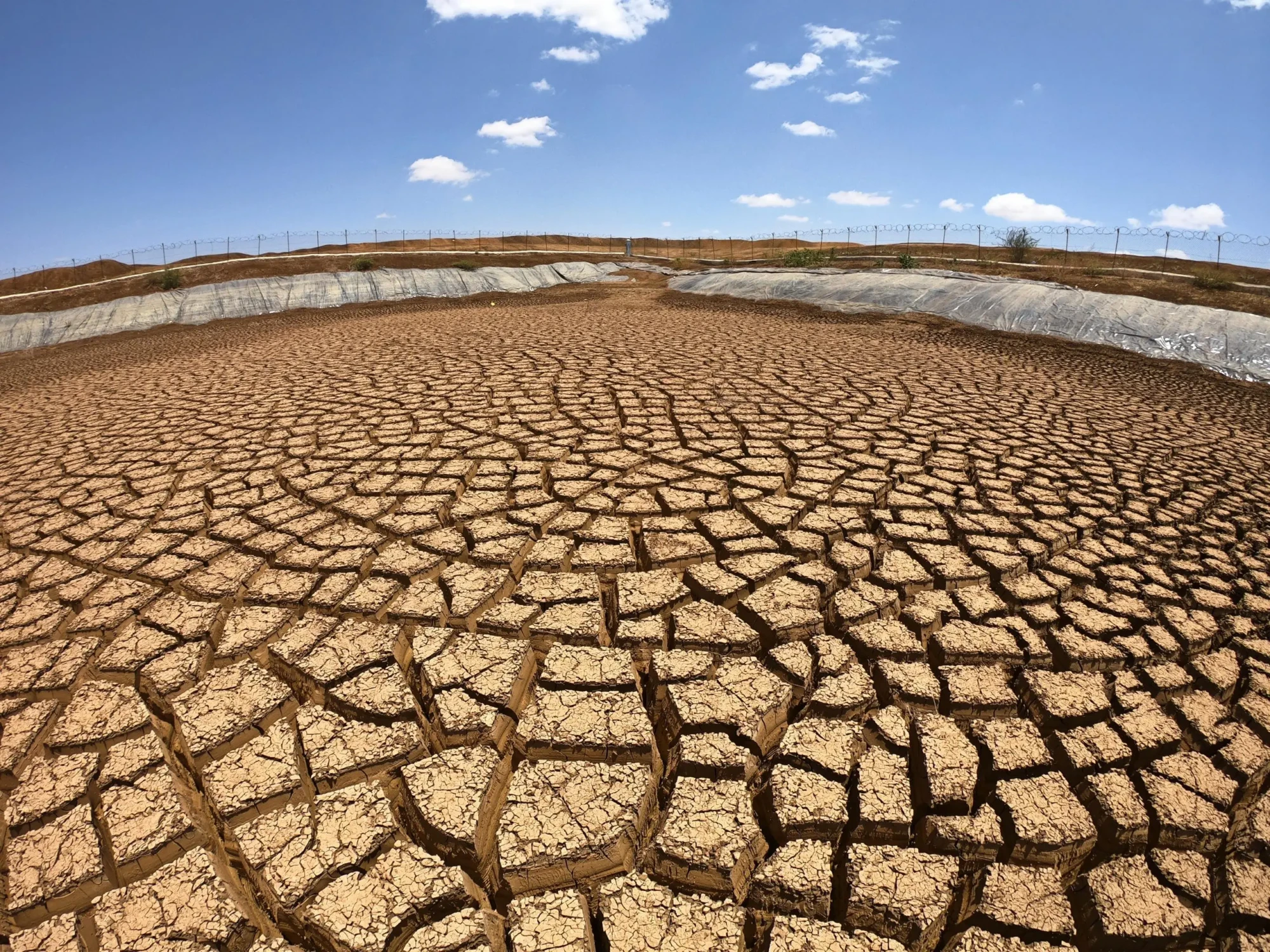 drought affect the ground_and this is how AI can help