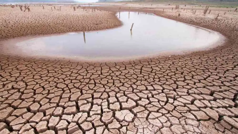 drought image of a watering hole drying up