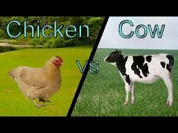 Animal Vocalization 4